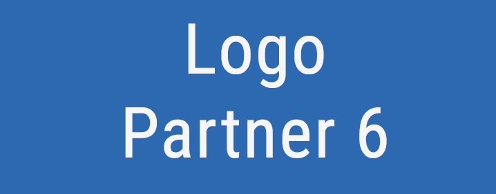 Partner 6